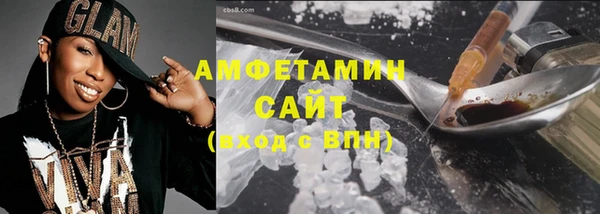 амф Гусев