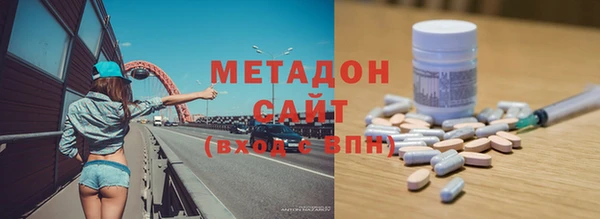 амф Гусев