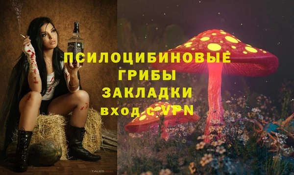 амф Гусев