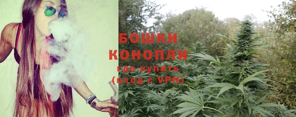 apvp Гусиноозёрск