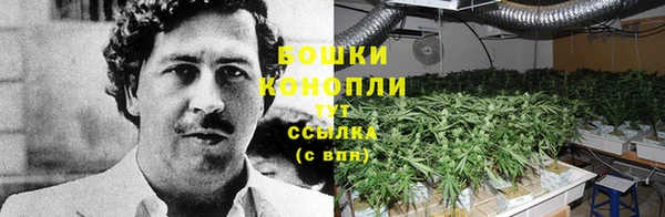 apvp Гусиноозёрск