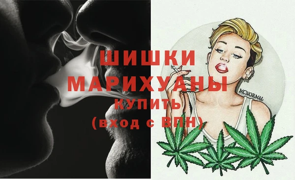 apvp Гусиноозёрск