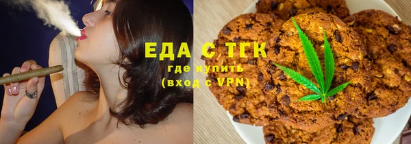 амф Гусев