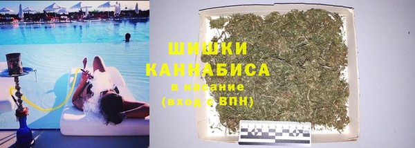 амф Гусев