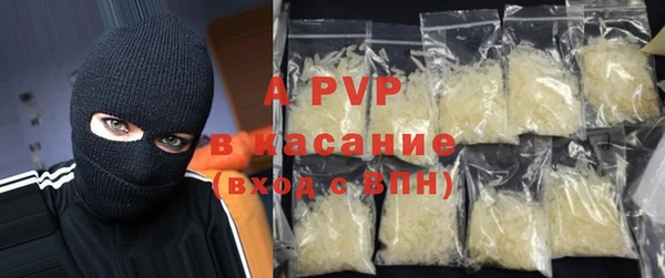 амф Гусев