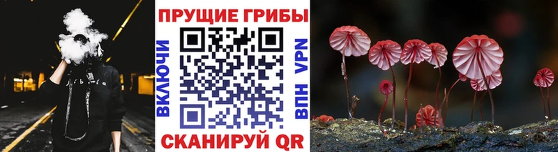 Псилоцибиновые грибы MAGIC MUSHROOMS  что такое   Мещовск 